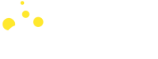 Ocedis Export