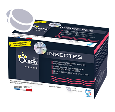 Insectes